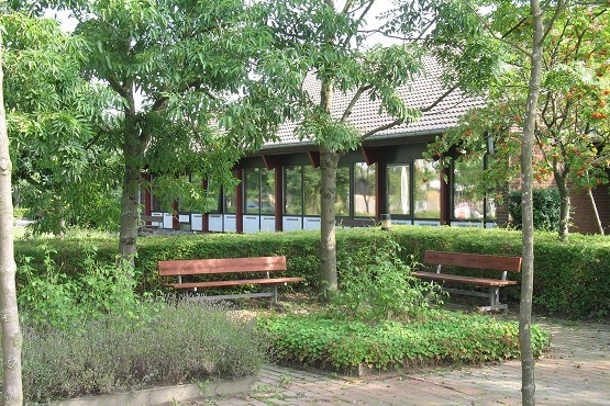 Udendørsområde på Gundsø Omsorgscenter. Der er grønne træer og buske, og der står også to bænke.
